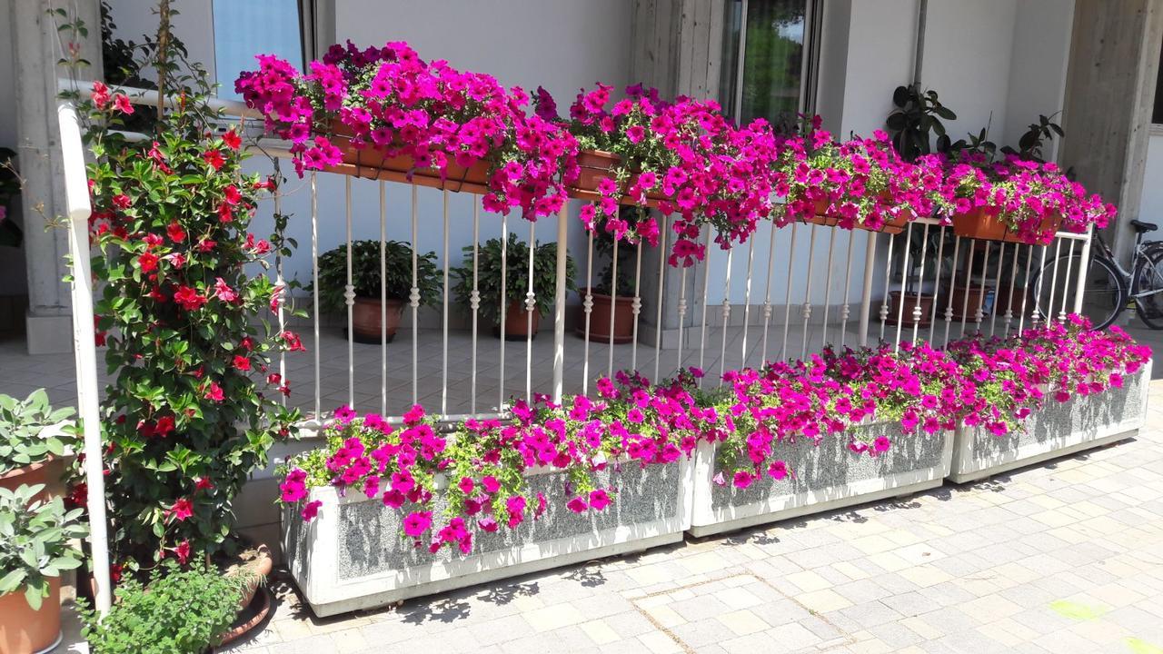 Residence Onda Blu Cervia Kültér fotó